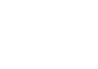Tulipa City Kolbenova