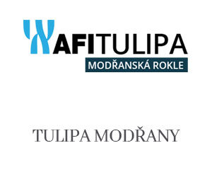 TULIPA MODŘANY