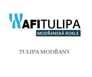 TULIPA MODŘANY