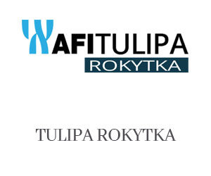 TULIPA ROKYTKA